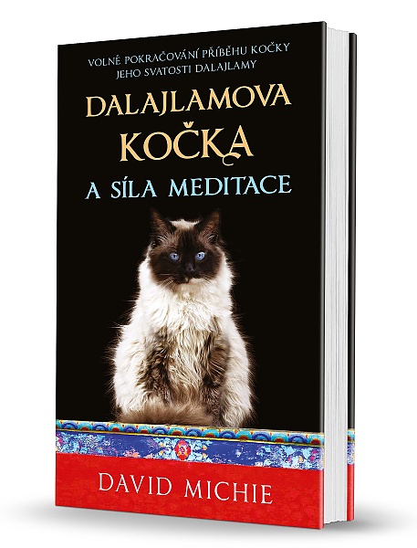 Dalajlamova kočka a síla meditace / Osobní růst